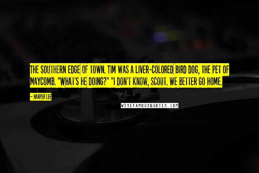 Harper Lee Quotes: The southern edge of town. Tim was a liver-colored bird dog, the pet of Maycomb. "What's he doing?" "I don't know, Scout. We better go home.