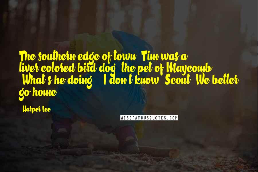 Harper Lee Quotes: The southern edge of town. Tim was a liver-colored bird dog, the pet of Maycomb. "What's he doing?" "I don't know, Scout. We better go home.