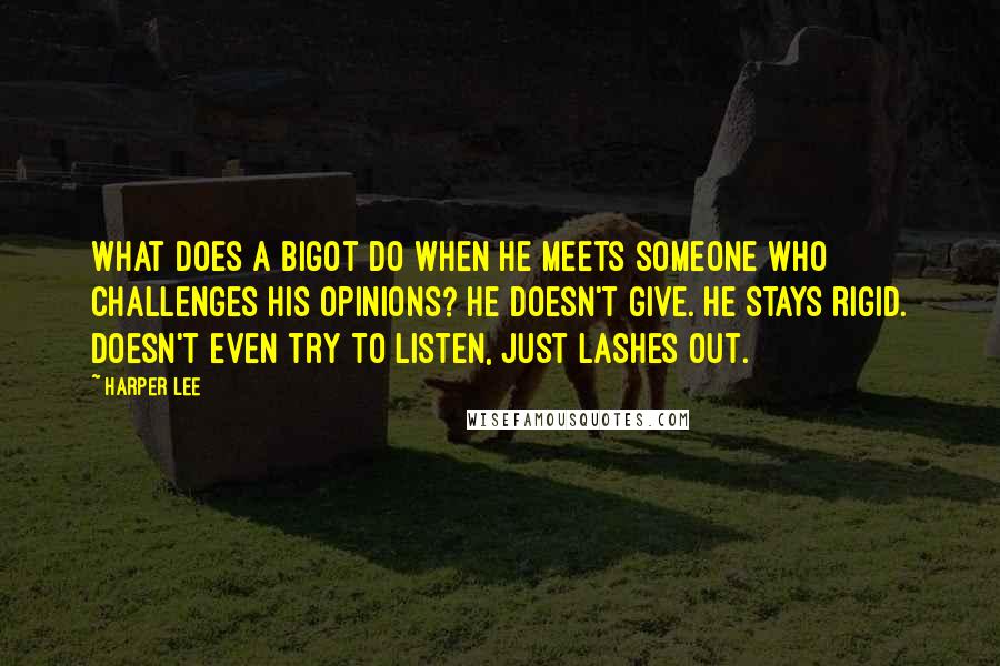 Harper Lee Quotes: What does a bigot do when he meets someone who challenges his opinions? He doesn't give. He stays rigid. Doesn't even try to listen, just lashes out.