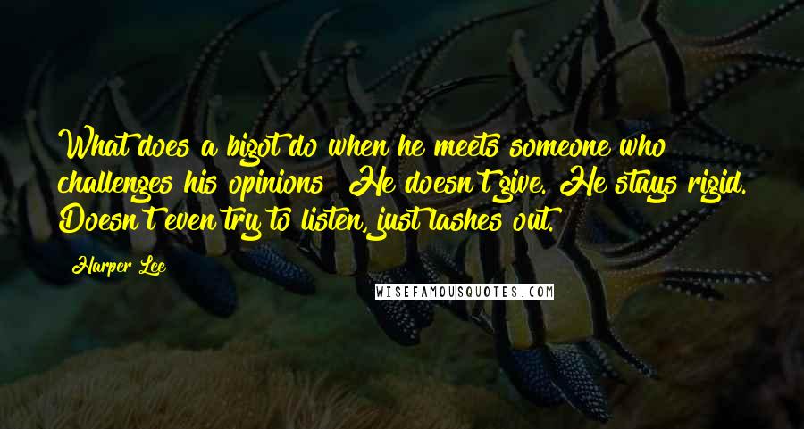 Harper Lee Quotes: What does a bigot do when he meets someone who challenges his opinions? He doesn't give. He stays rigid. Doesn't even try to listen, just lashes out.