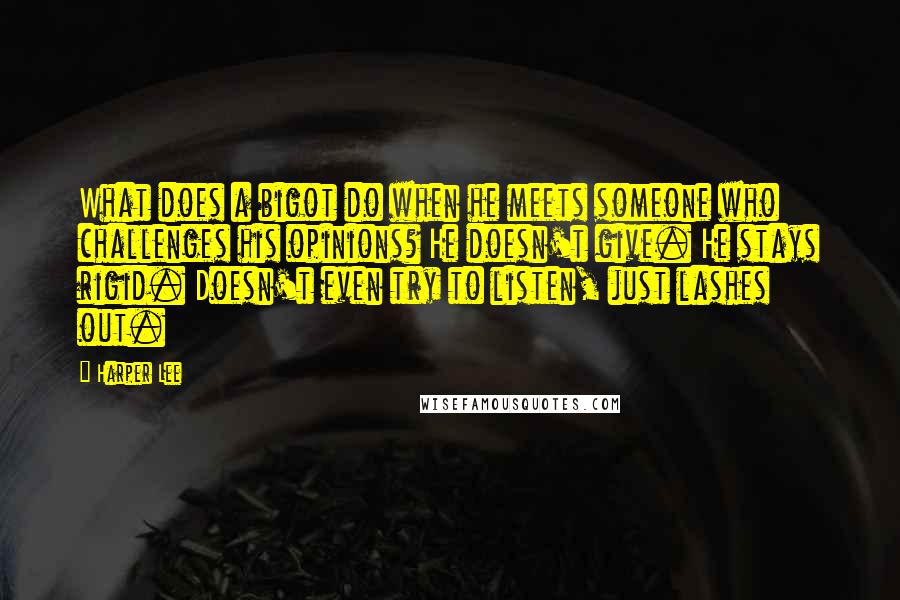 Harper Lee Quotes: What does a bigot do when he meets someone who challenges his opinions? He doesn't give. He stays rigid. Doesn't even try to listen, just lashes out.