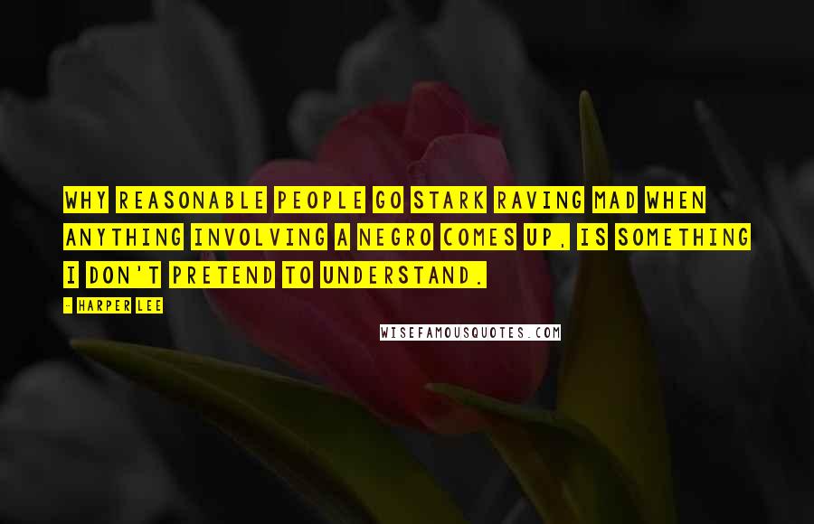 Harper Lee Quotes: Why reasonable people go stark raving mad when anything involving a Negro comes up, is something I don't pretend to understand.