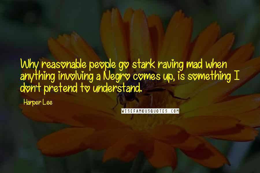 Harper Lee Quotes: Why reasonable people go stark raving mad when anything involving a Negro comes up, is something I don't pretend to understand.