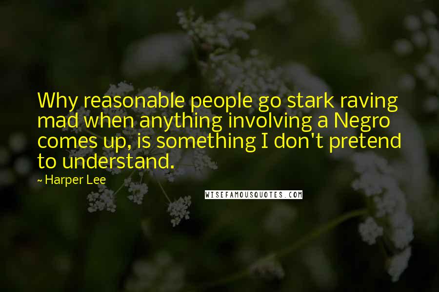 Harper Lee Quotes: Why reasonable people go stark raving mad when anything involving a Negro comes up, is something I don't pretend to understand.