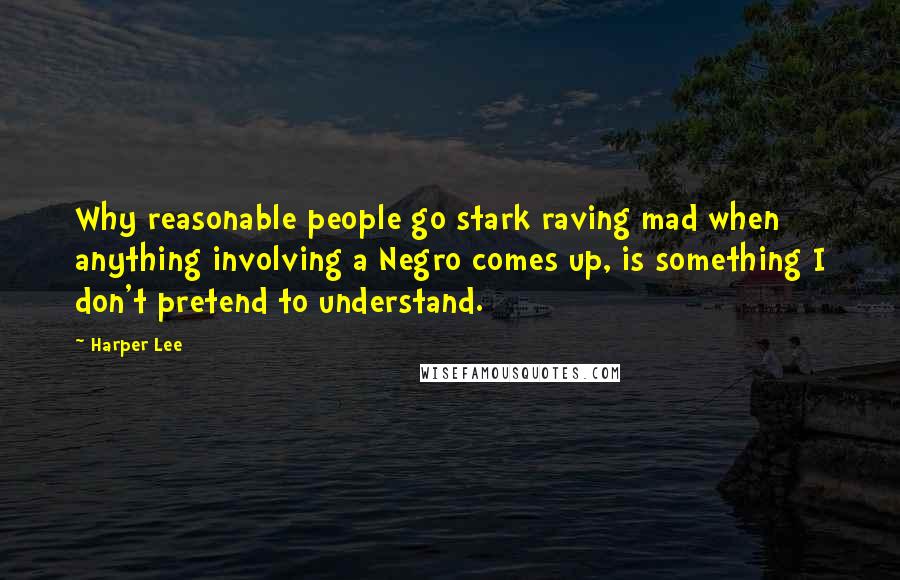 Harper Lee Quotes: Why reasonable people go stark raving mad when anything involving a Negro comes up, is something I don't pretend to understand.