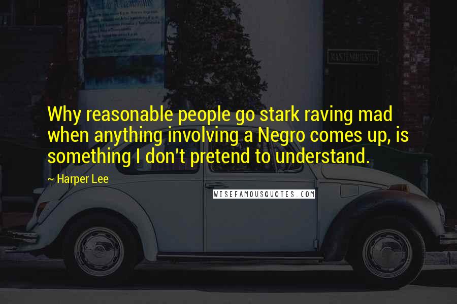 Harper Lee Quotes: Why reasonable people go stark raving mad when anything involving a Negro comes up, is something I don't pretend to understand.