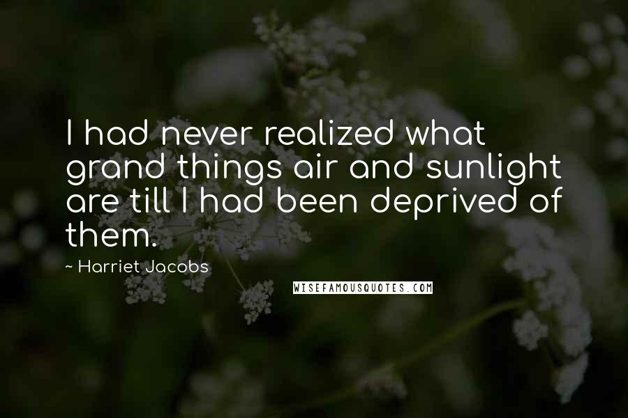 Harriet Jacobs Quotes: I had never realized what grand things air and sunlight are till I had been deprived of them.