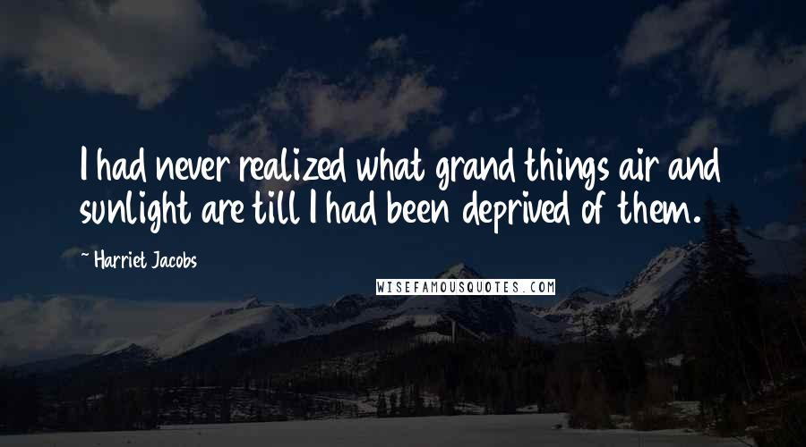 Harriet Jacobs Quotes: I had never realized what grand things air and sunlight are till I had been deprived of them.