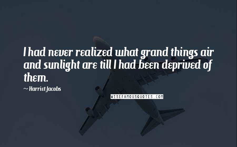 Harriet Jacobs Quotes: I had never realized what grand things air and sunlight are till I had been deprived of them.