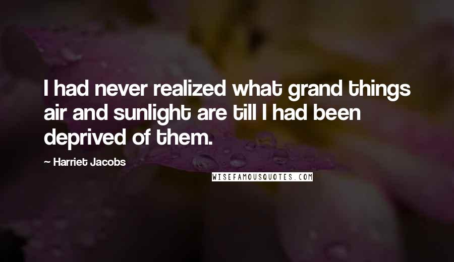 Harriet Jacobs Quotes: I had never realized what grand things air and sunlight are till I had been deprived of them.