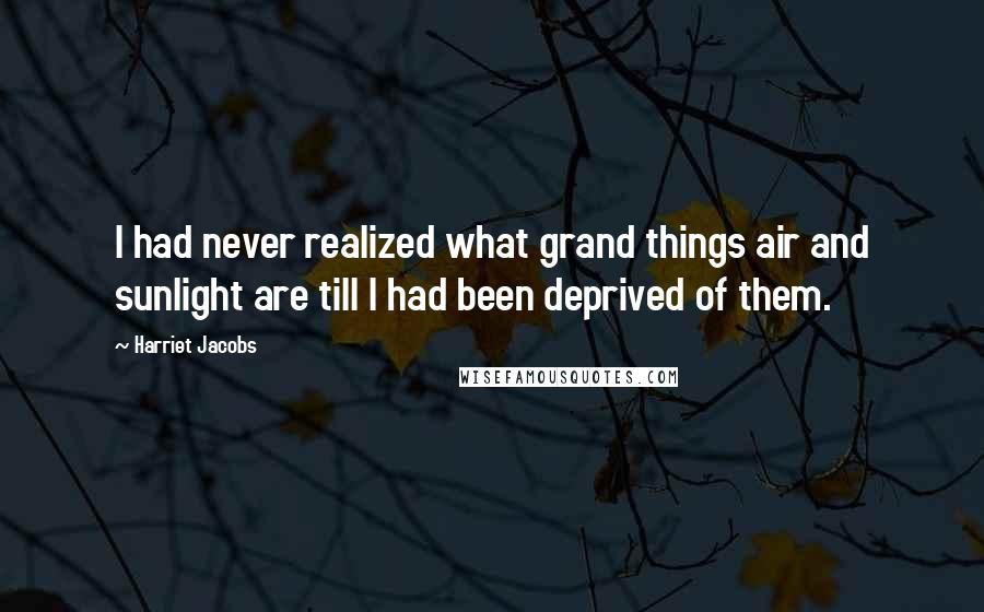 Harriet Jacobs Quotes: I had never realized what grand things air and sunlight are till I had been deprived of them.