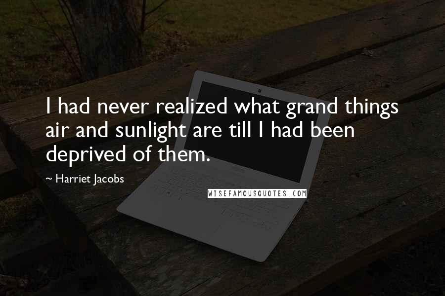 Harriet Jacobs Quotes: I had never realized what grand things air and sunlight are till I had been deprived of them.