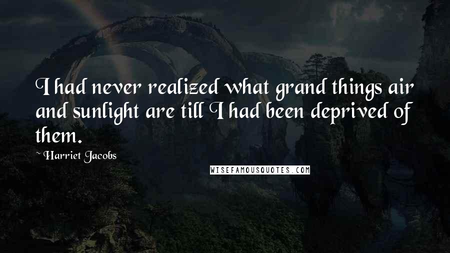 Harriet Jacobs Quotes: I had never realized what grand things air and sunlight are till I had been deprived of them.