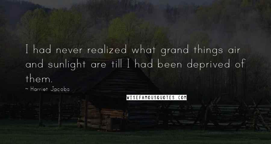 Harriet Jacobs Quotes: I had never realized what grand things air and sunlight are till I had been deprived of them.