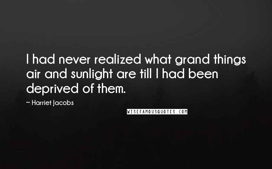 Harriet Jacobs Quotes: I had never realized what grand things air and sunlight are till I had been deprived of them.