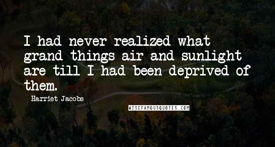 Harriet Jacobs Quotes: I had never realized what grand things air and sunlight are till I had been deprived of them.