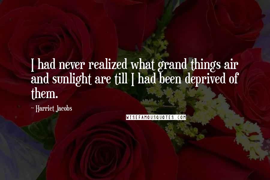 Harriet Jacobs Quotes: I had never realized what grand things air and sunlight are till I had been deprived of them.