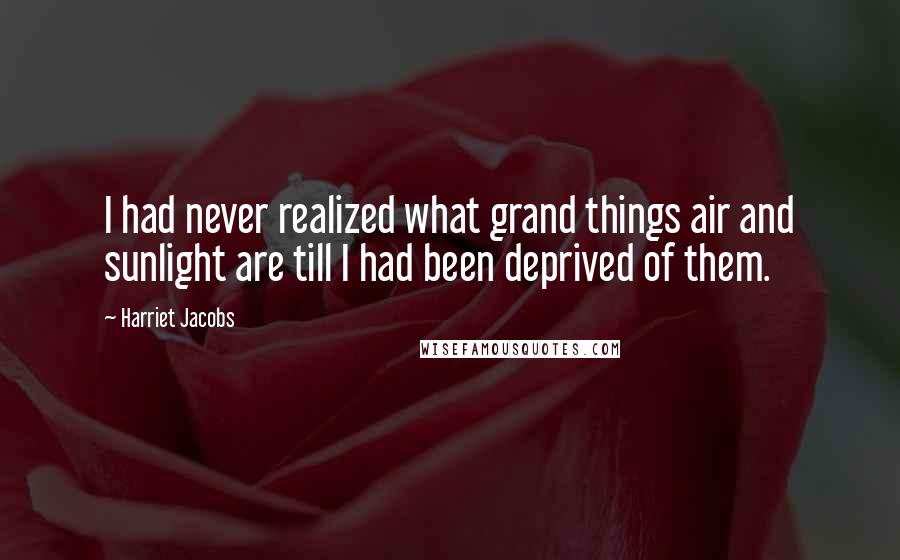 Harriet Jacobs Quotes: I had never realized what grand things air and sunlight are till I had been deprived of them.