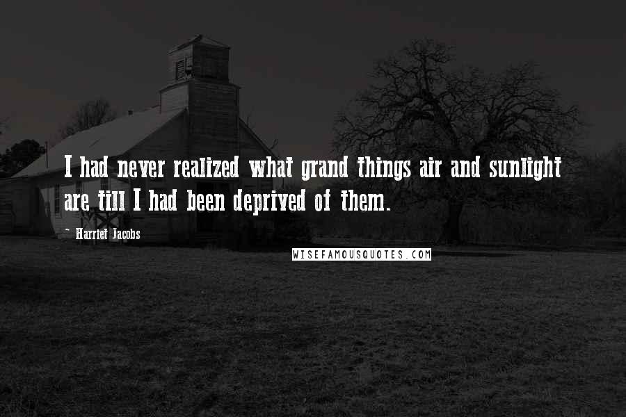 Harriet Jacobs Quotes: I had never realized what grand things air and sunlight are till I had been deprived of them.