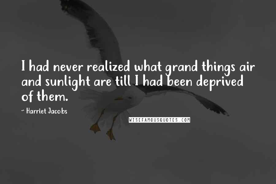 Harriet Jacobs Quotes: I had never realized what grand things air and sunlight are till I had been deprived of them.