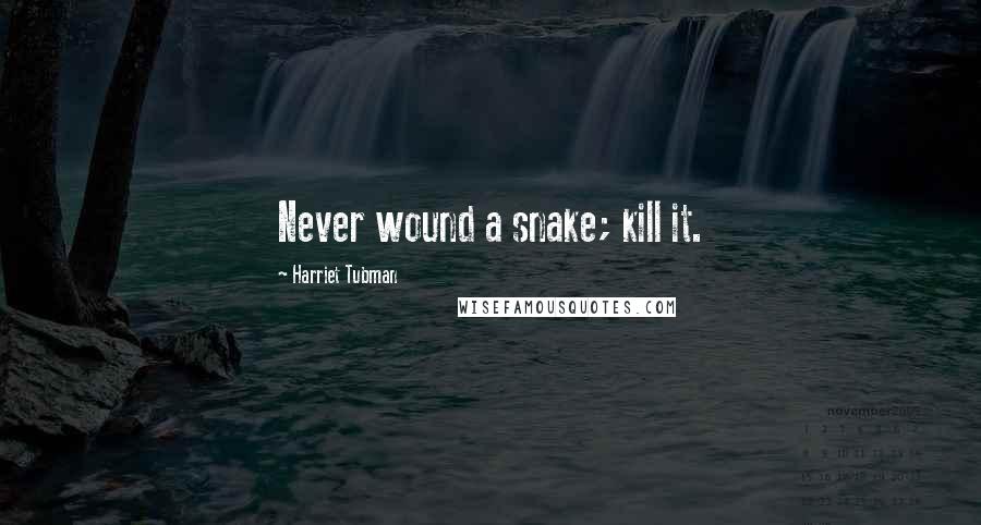 Harriet Tubman Quotes: Never wound a snake; kill it.