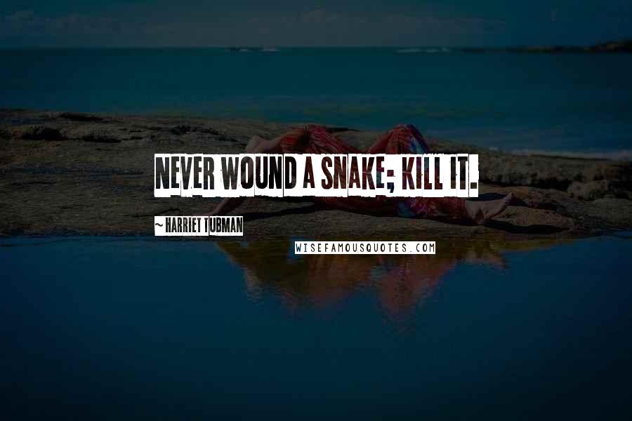 Harriet Tubman Quotes: Never wound a snake; kill it.