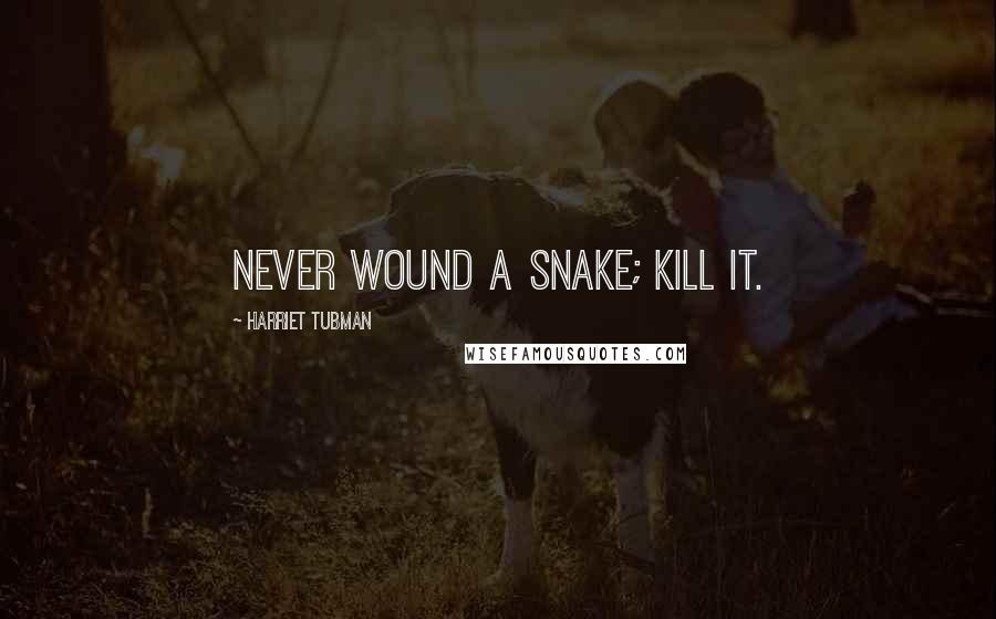 Harriet Tubman Quotes: Never wound a snake; kill it.