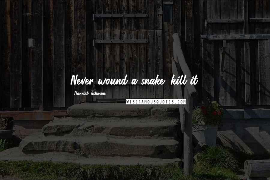 Harriet Tubman Quotes: Never wound a snake; kill it.