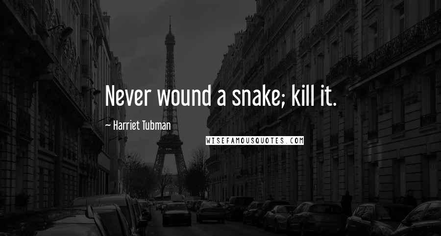 Harriet Tubman Quotes: Never wound a snake; kill it.