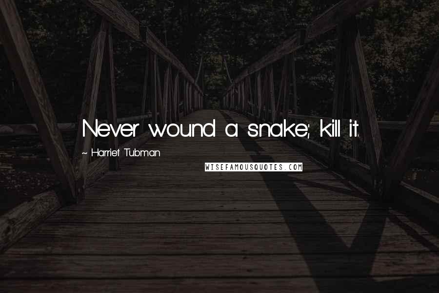 Harriet Tubman Quotes: Never wound a snake; kill it.