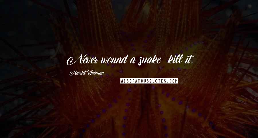 Harriet Tubman Quotes: Never wound a snake; kill it.