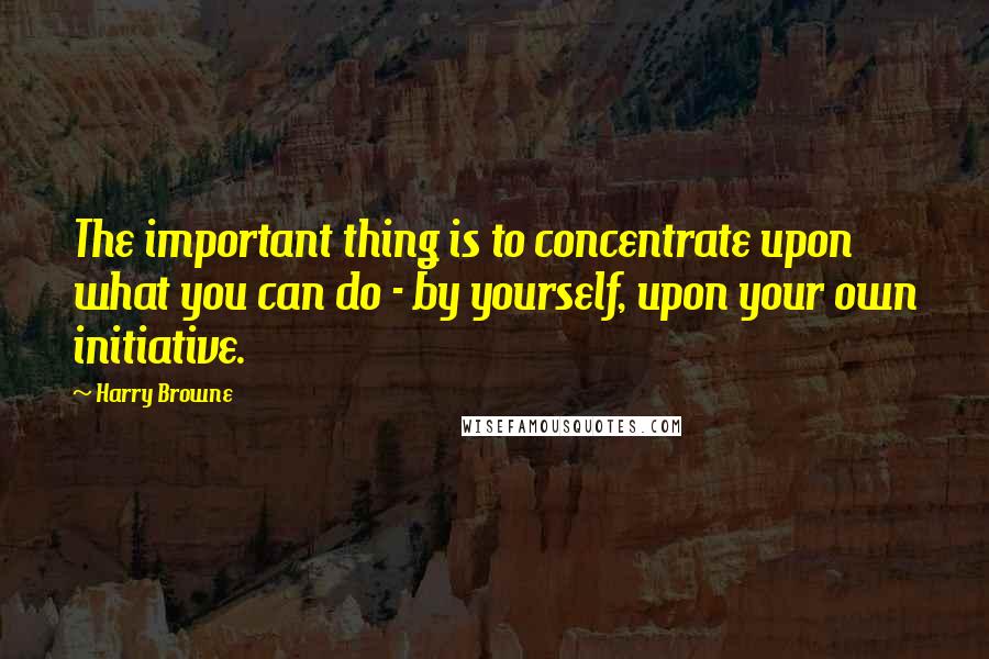 Harry Browne Quotes: The important thing is to concentrate upon what you can do - by yourself, upon your own initiative.