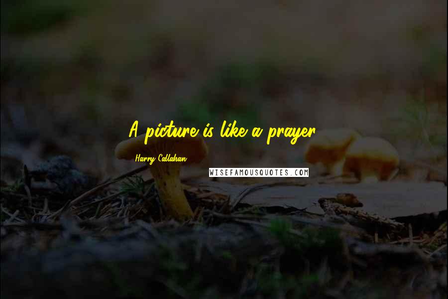 Harry Callahan Quotes: A picture is like a prayer.