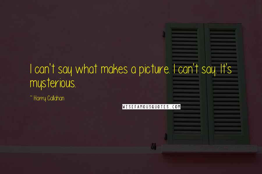 Harry Callahan Quotes: I can't say what makes a picture. I can't say. It's mysterious.