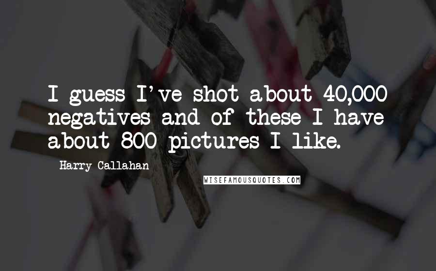 Harry Callahan Quotes: I guess I've shot about 40,000 negatives and of these I have about 800 pictures I like.