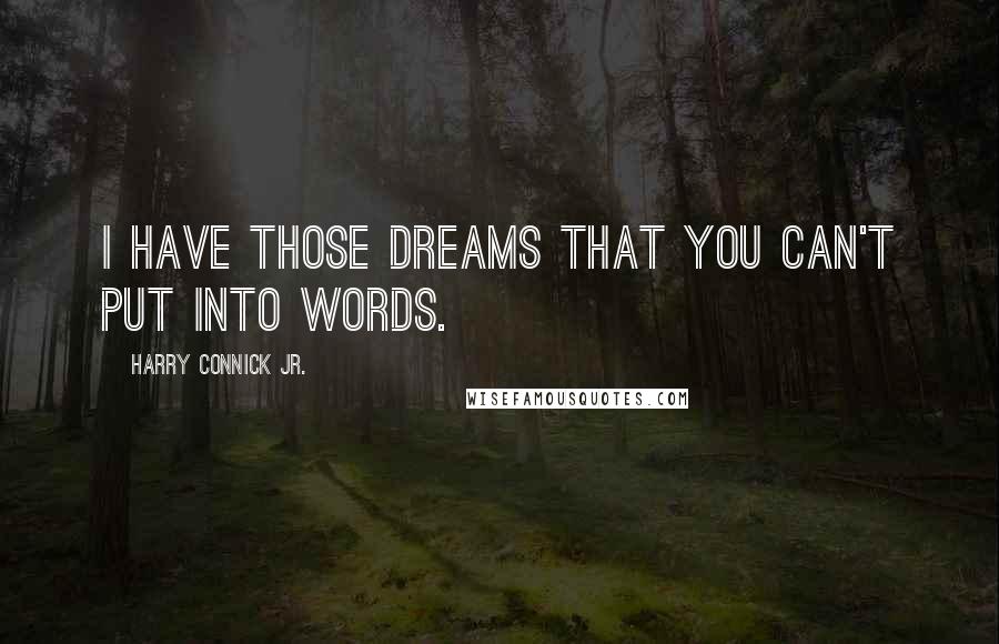 Harry Connick Jr. Quotes: I have those dreams that you can't put into words.