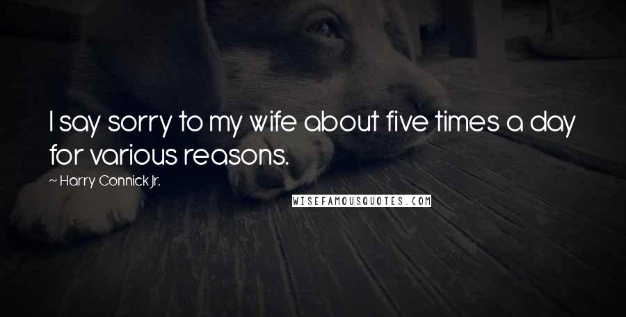 Harry Connick Jr. Quotes: I say sorry to my wife about five times a day for various reasons.