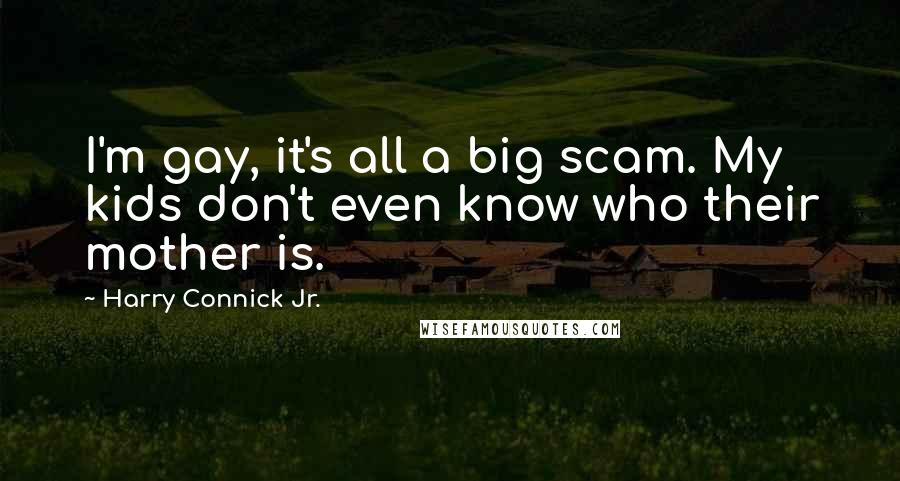 Harry Connick Jr. Quotes: I'm gay, it's all a big scam. My kids don't even know who their mother is.