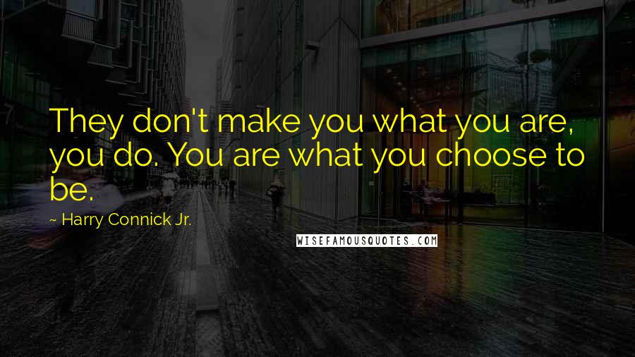 Harry Connick Jr. Quotes: They don't make you what you are, you do. You are what you choose to be.