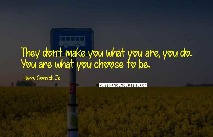 Harry Connick Jr. Quotes: They don't make you what you are, you do. You are what you choose to be.