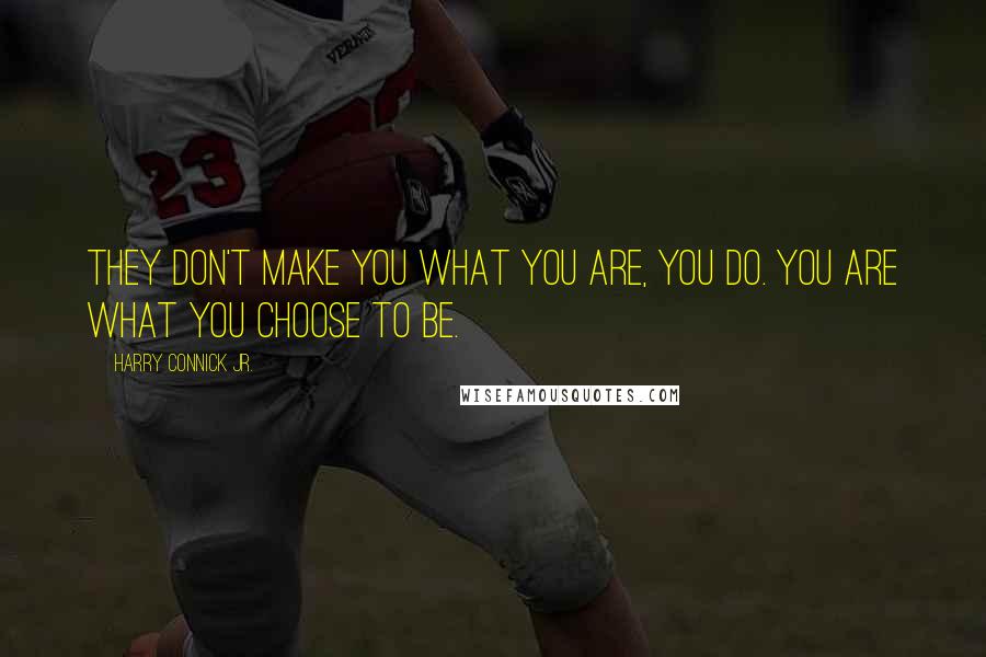 Harry Connick Jr. Quotes: They don't make you what you are, you do. You are what you choose to be.