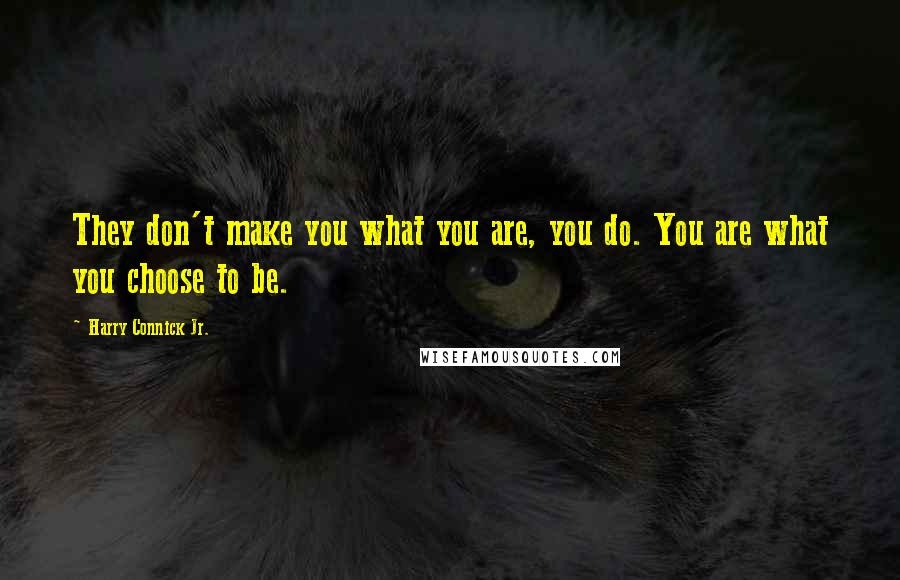 Harry Connick Jr. Quotes: They don't make you what you are, you do. You are what you choose to be.