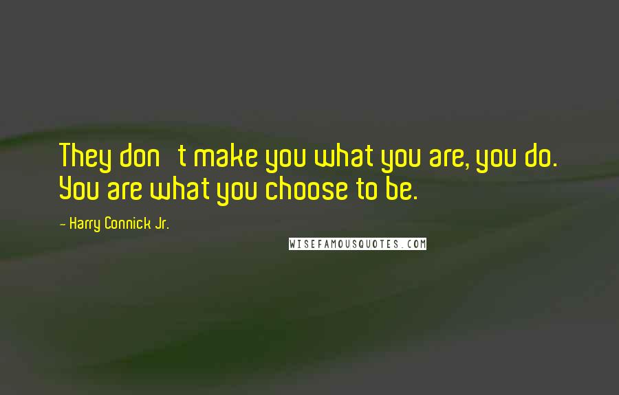 Harry Connick Jr. Quotes: They don't make you what you are, you do. You are what you choose to be.