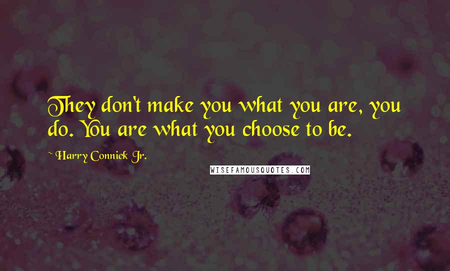 Harry Connick Jr. Quotes: They don't make you what you are, you do. You are what you choose to be.