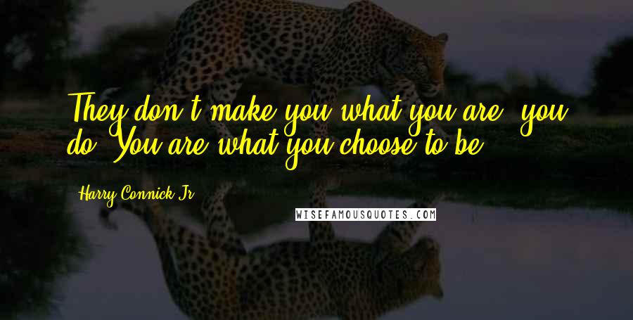 Harry Connick Jr. Quotes: They don't make you what you are, you do. You are what you choose to be.