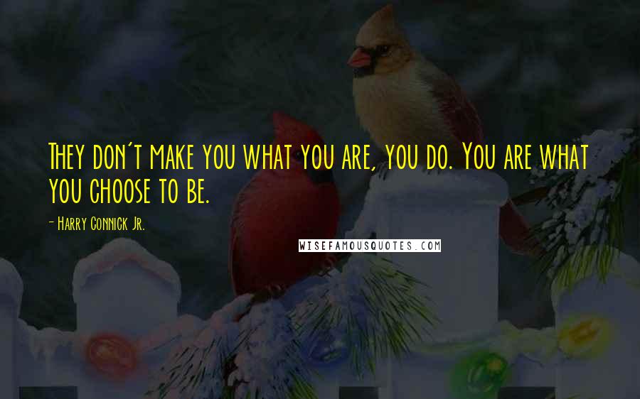 Harry Connick Jr. Quotes: They don't make you what you are, you do. You are what you choose to be.