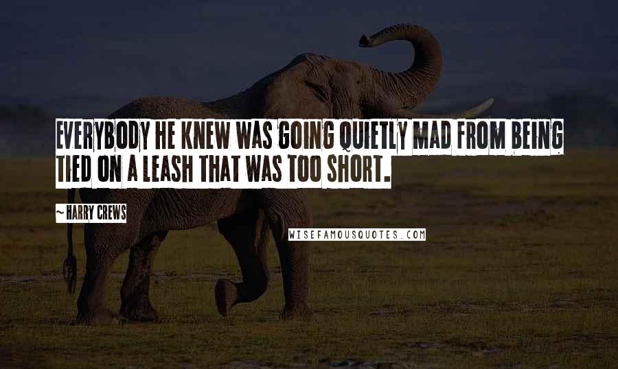 Harry Crews Quotes: Everybody he knew was going quietly mad from being tied on a leash that was too short.