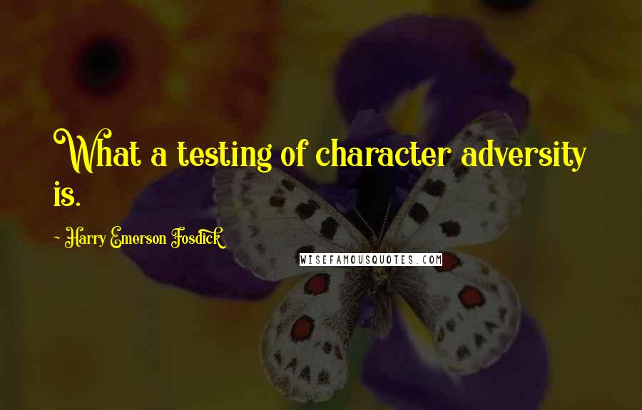 Harry Emerson Fosdick Quotes: What a testing of character adversity is.