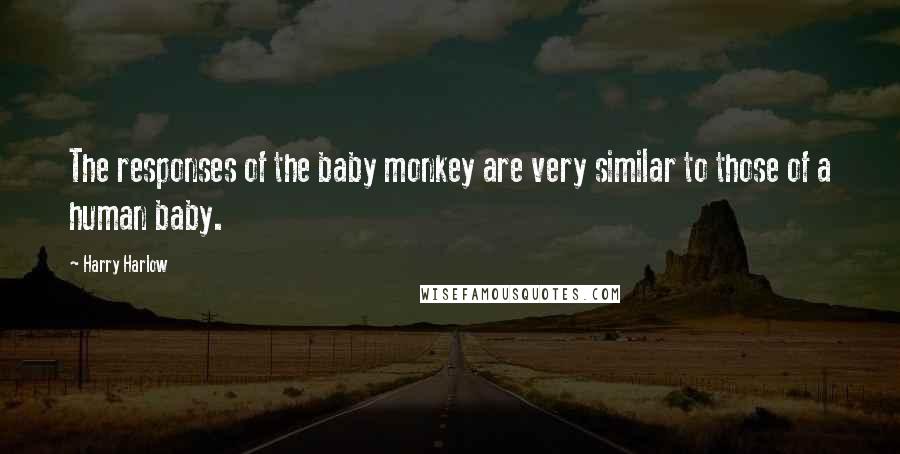 Harry Harlow Quotes: The responses of the baby monkey are very similar to those of a human baby.