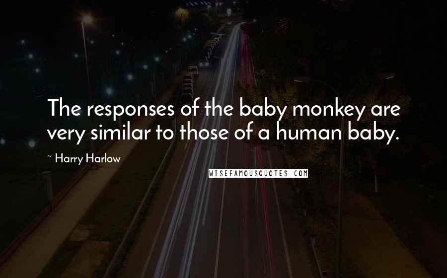 Harry Harlow Quotes: The responses of the baby monkey are very similar to those of a human baby.